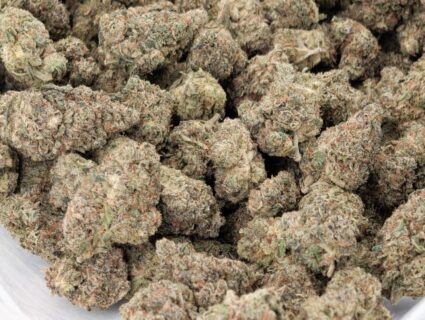 Strawberry Gary - Sativa Hybrid