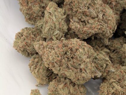 Super Citrus Haze - Sativa