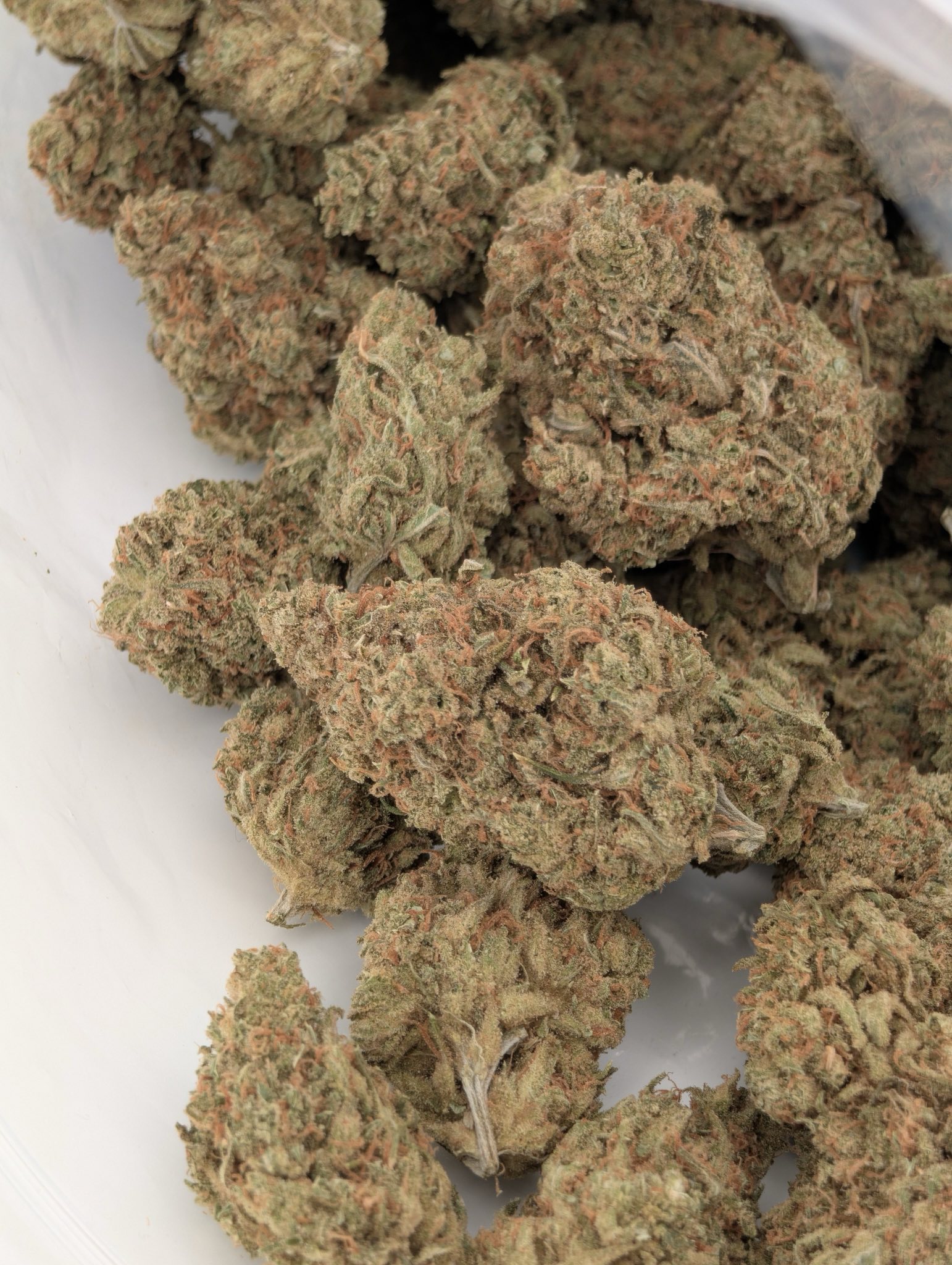 Super Citrus Haze - Sativa